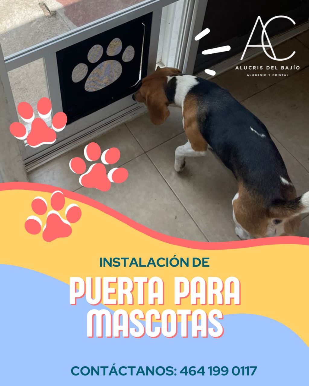 PUBLICIDAD JULIO