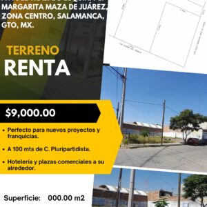 AV. DEL TRABAJO ESQUINA C. MARGARITA MAZA DE JUAREZ, ZONA CENTRO, SALAMANCA GTO
